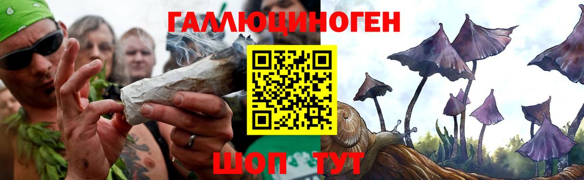 Карачаевск  Псилоцибиновые грибы прущие грибы  дарнет шоп  Вход с VPN 